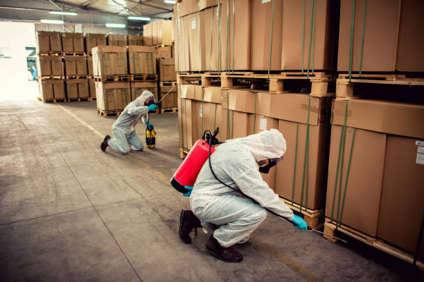 Best Cockroach Control Services  in Mcminnville, TN