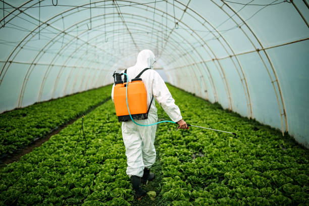 Best Pest Inspection Near Me  in Mcminnville, TN