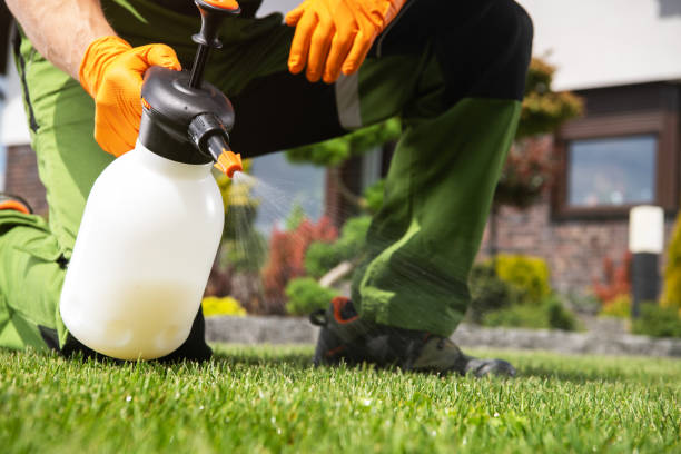 Best Exterminator Services  in Mcminnville, TN