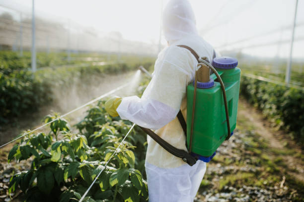 Trusted Mcminnville, TN Pest Control Experts
